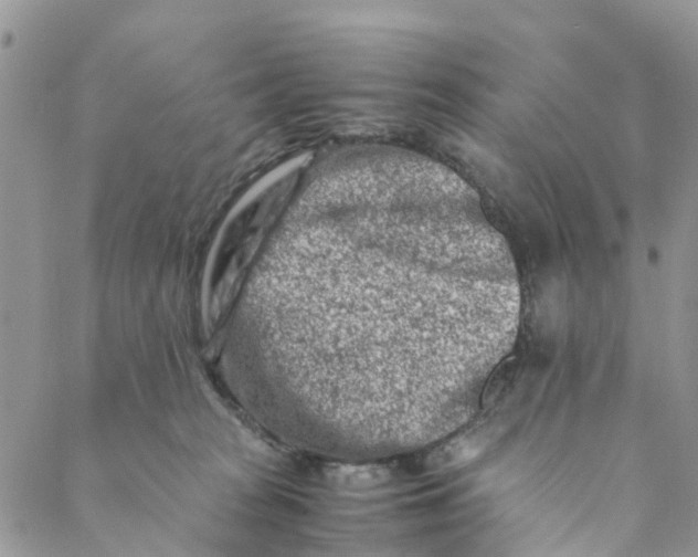 X0000088460277200706121512