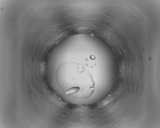 X0000088460278200706121512