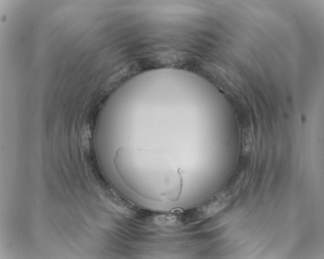 X0000088460279200706121512