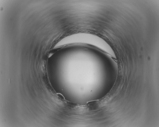 X0000088460280200706121512