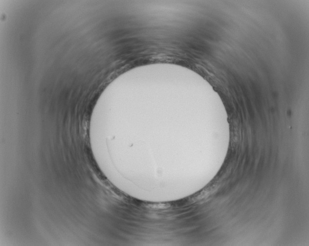 X0000088460281200706121512