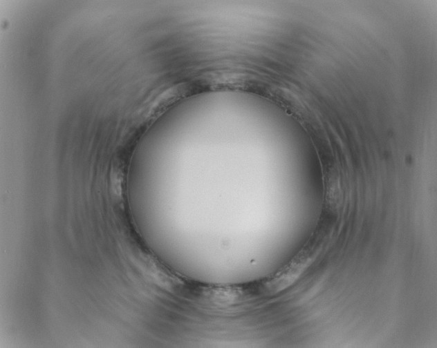 X0000088460282200706121512