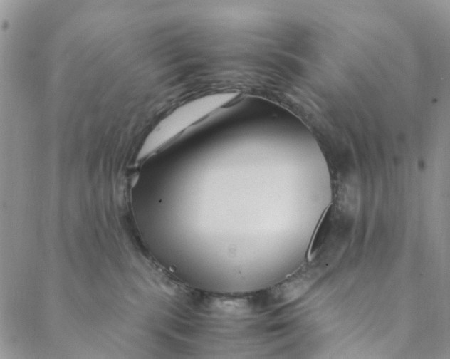 X0000088460283200706121512