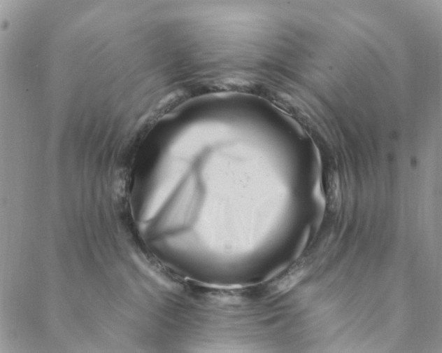 X0000088460284200706121512