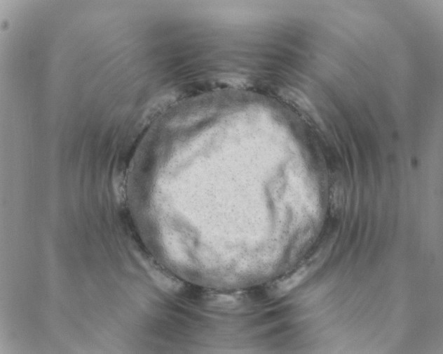 X0000088460285200706121512