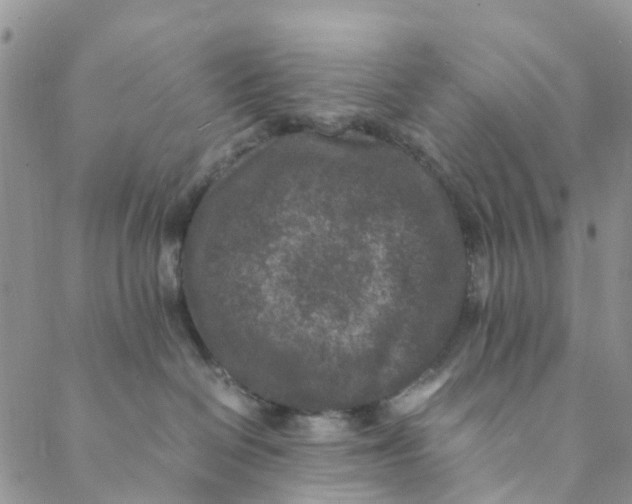 X0000088460286200706121512