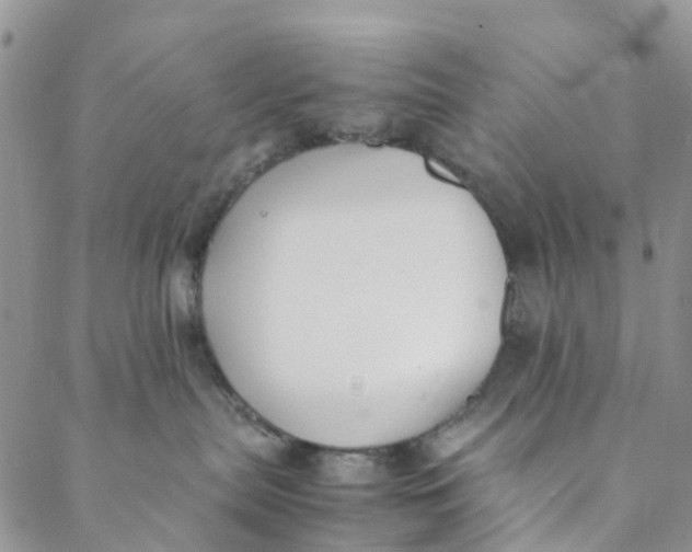 X0000088460287200706121512