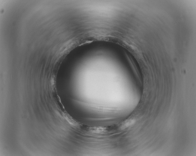 X0000088460288200706121512