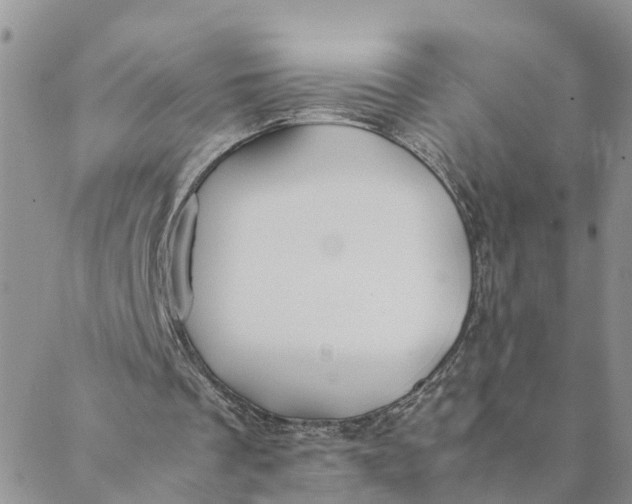 X0000088460289200706121511