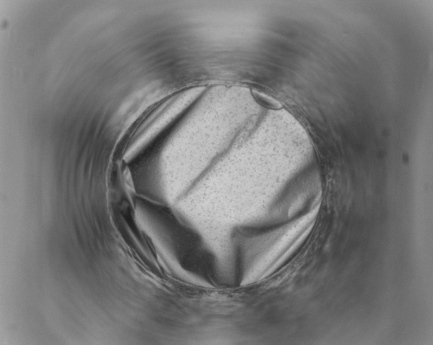 X0000088460290200706121511