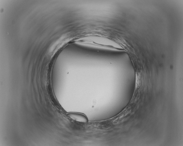 X0000088460291200706121511