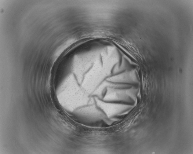 X0000088460292200706121511