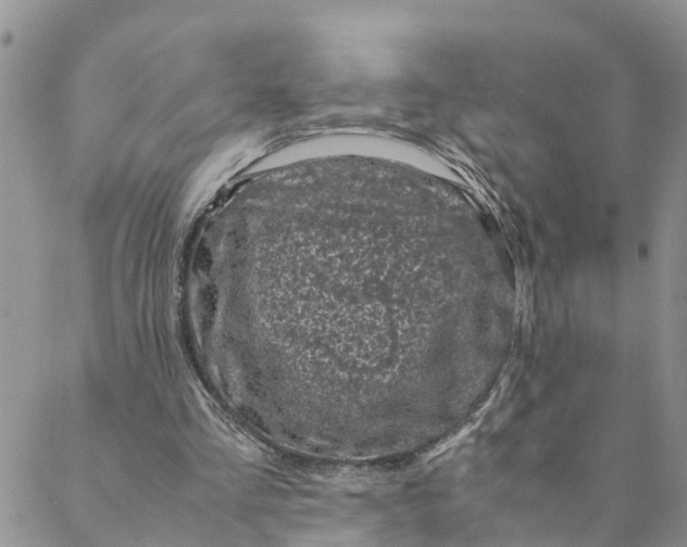 X0000088460293200706121511