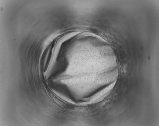 X0000088460294200706121511