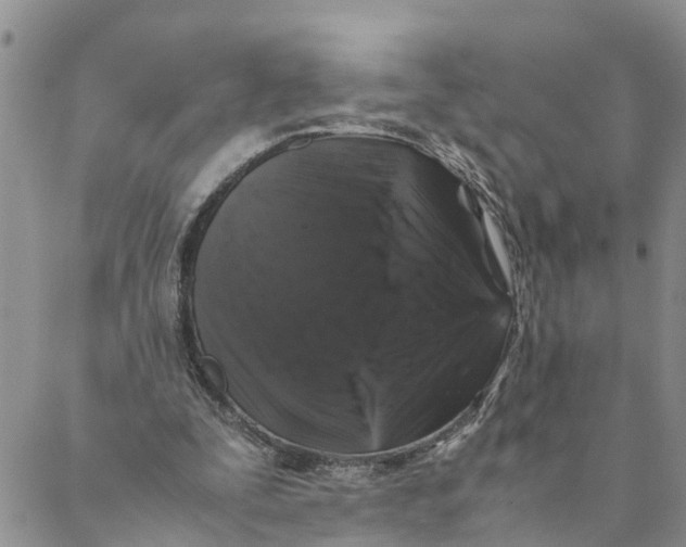 X0000088460295200706121511