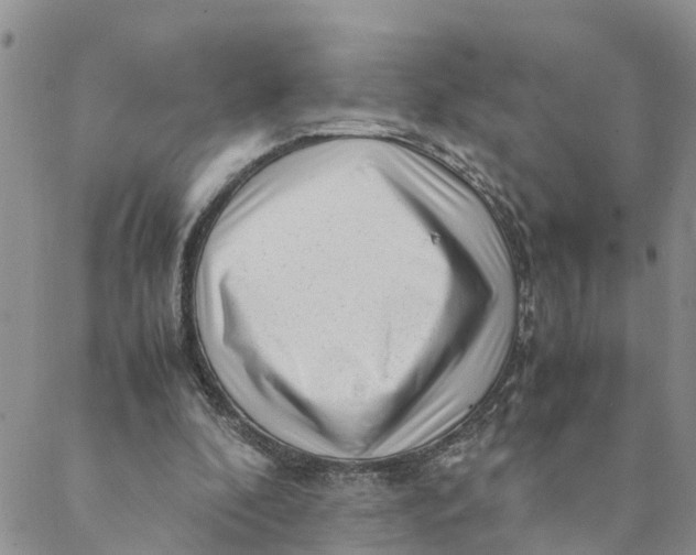 X0000088460296200706121511