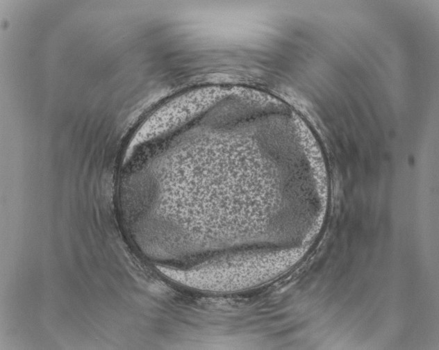 X0000088460297200706121511