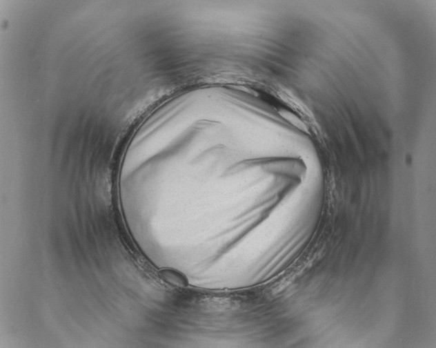 X0000088460298200706121511