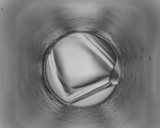 X0000088460299200706121511