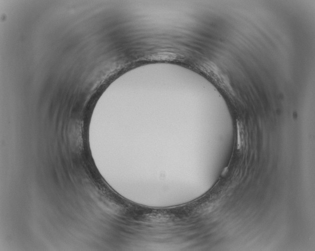 X0000088460300200706121511