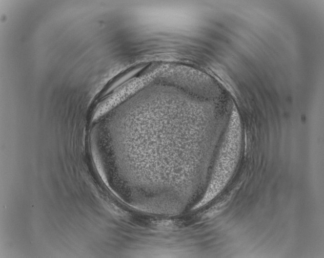 X0000088460301200706121511