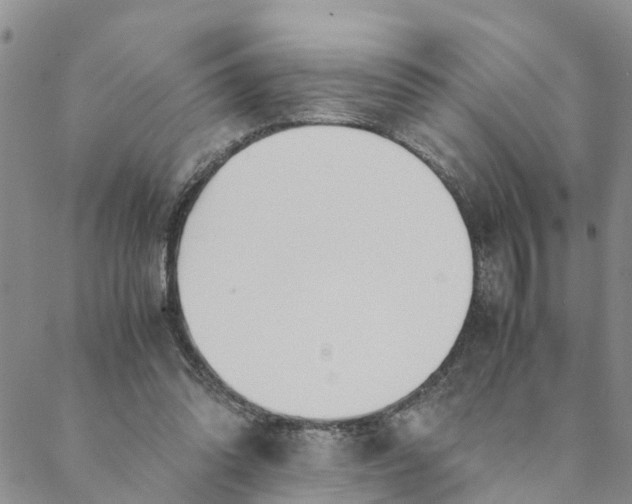 X0000088460302200706121511