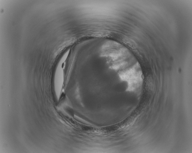 X0000088460303200706121511