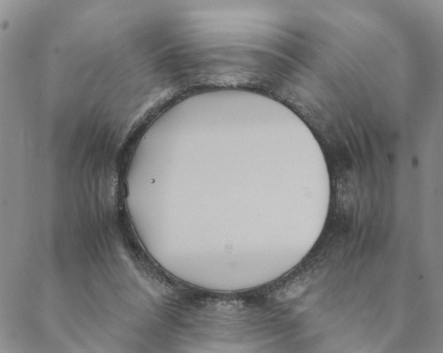 X0000088460304200706121511