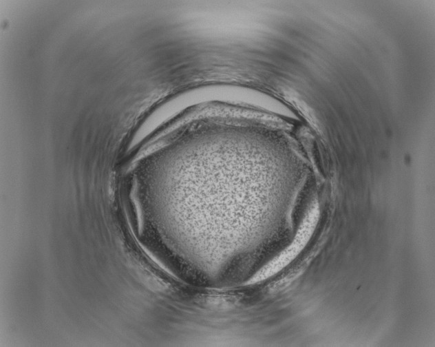 X0000088460305200706121511