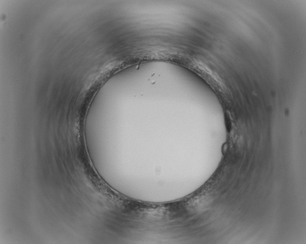 X0000088460306200706121511