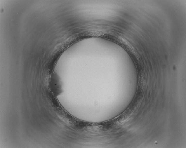 X0000088460307200706121511