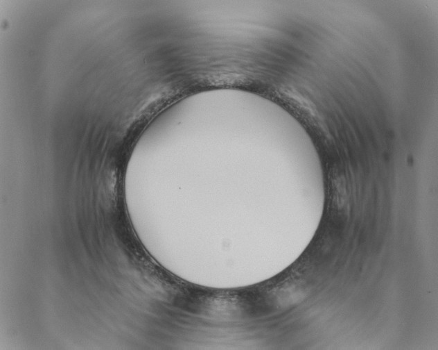 X0000088460308200706121511