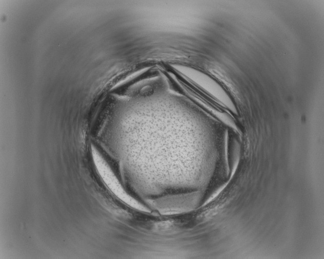 X0000088460309200706121511