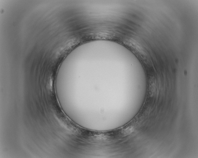 X0000088460310200706121511