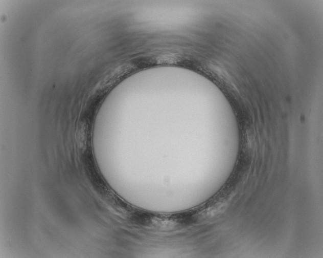 X0000088460311200706121511