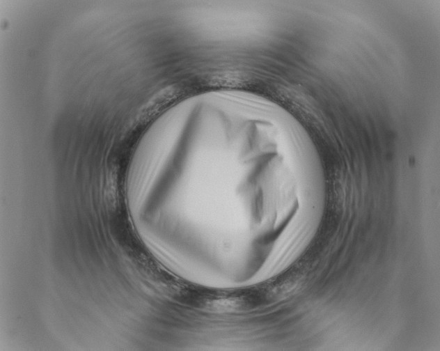 X0000088460312200706121511