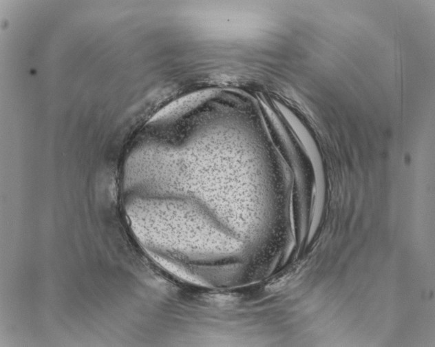 X0000088460313200706121511