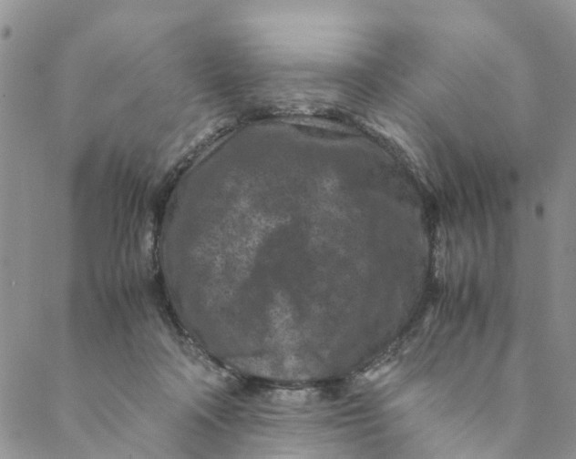 X0000088460314200706121511