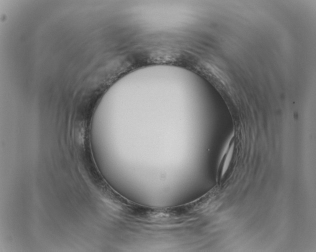 X0000088460315200706121511