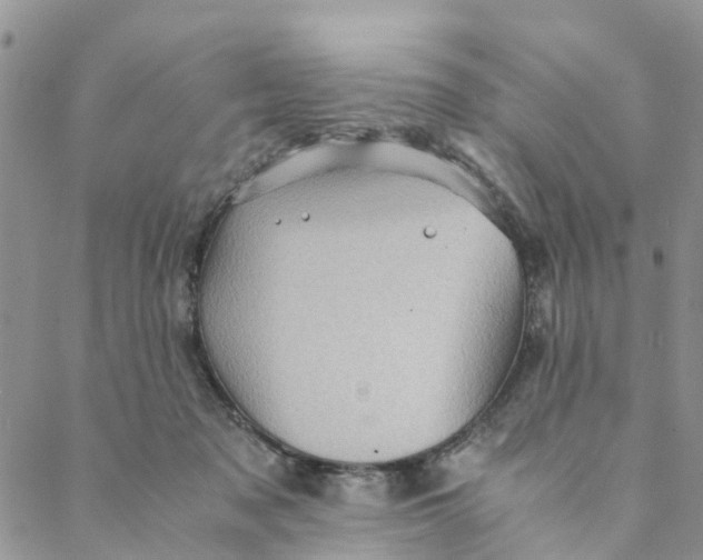 X0000088460317200706121511