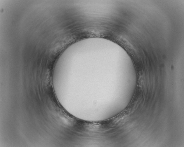 X0000088460318200706121511