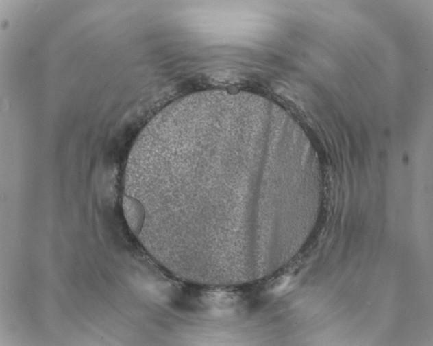 X0000088460319200706121511