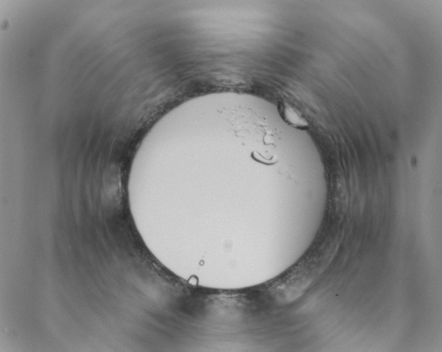 X0000088460320200706121511