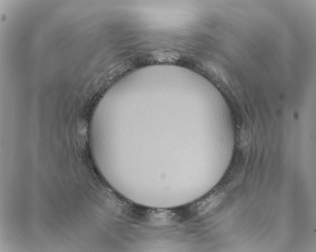 X0000088460321200706121511