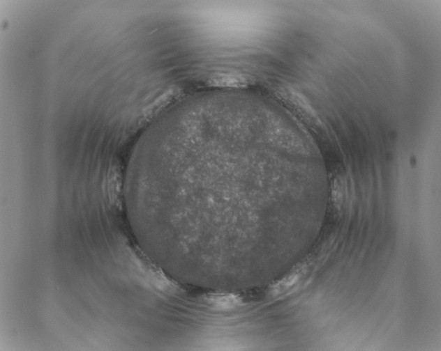 X0000088460322200706121511