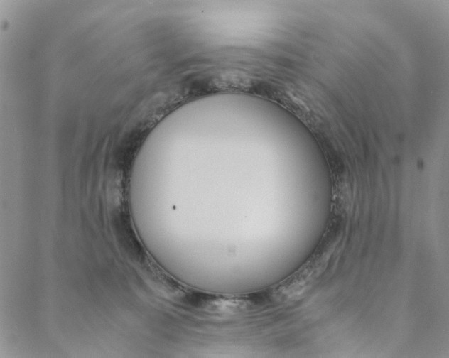 X0000088460323200706121511