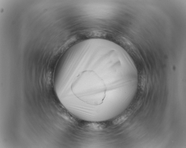 X0000088460326200706121511