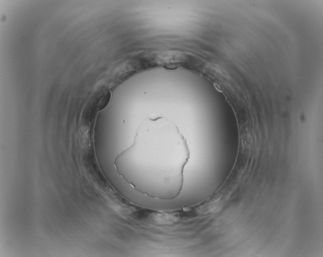 X0000088460327200706121510