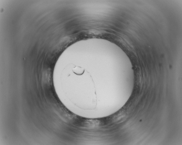 X0000088460328200706121510