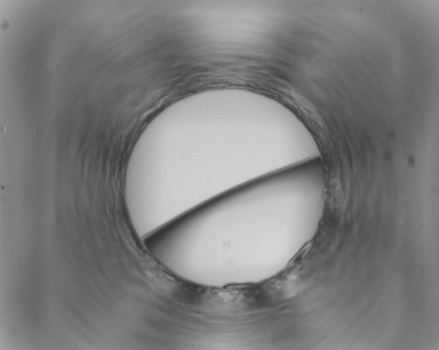 X0000088460329200706121510